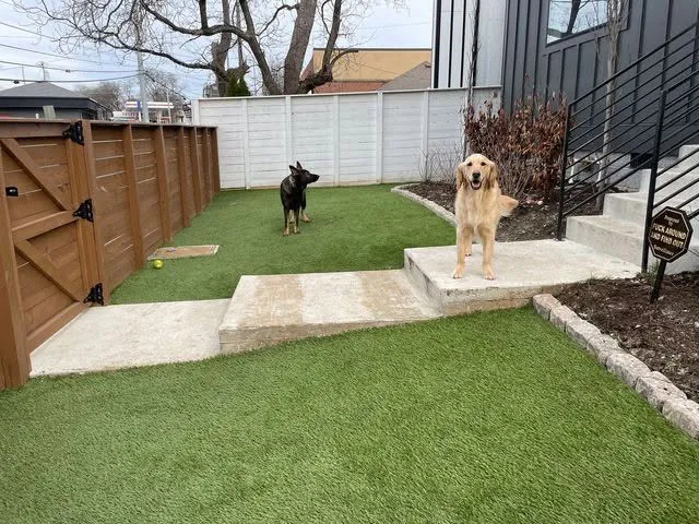 pet turf installation