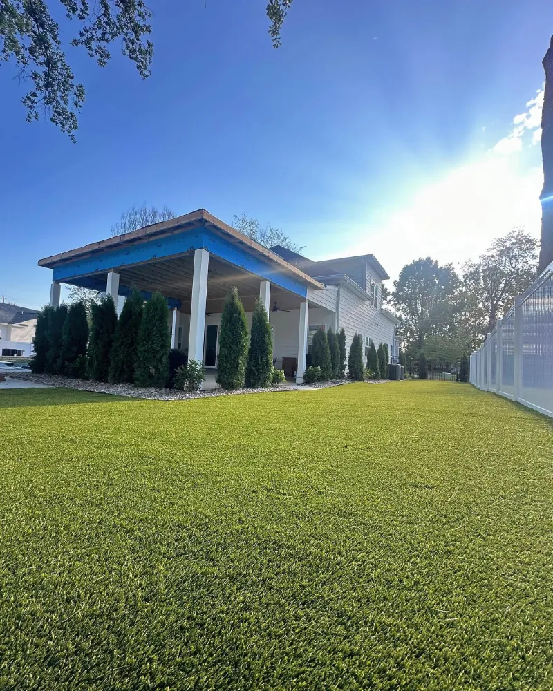 artificial turf tampa fl