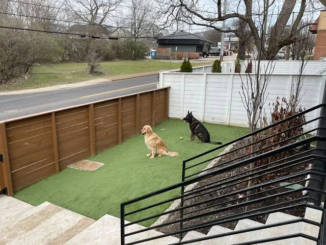pet turf tampa